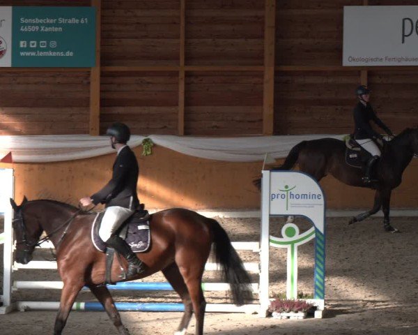 Reitturnier Xanten - Reitanlage Miss 2024