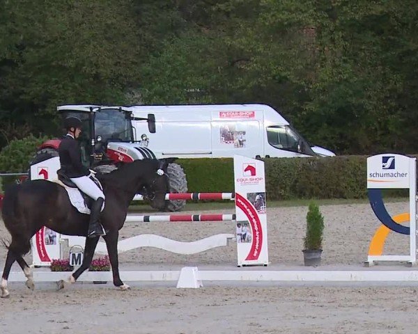 Reitturnier Frankenhof-Sonnefeld/Ofr. 2024