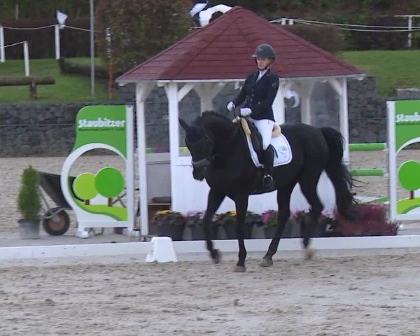 Reitturnier Frankenhof-Sonnefeld/Ofr. 2024