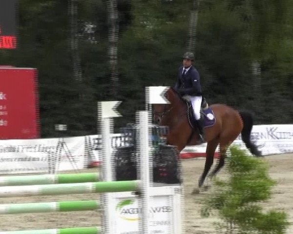 Reitturnier Herbern 2013