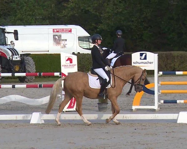 Reitturnier Frankenhof-Sonnefeld/Ofr. 2024