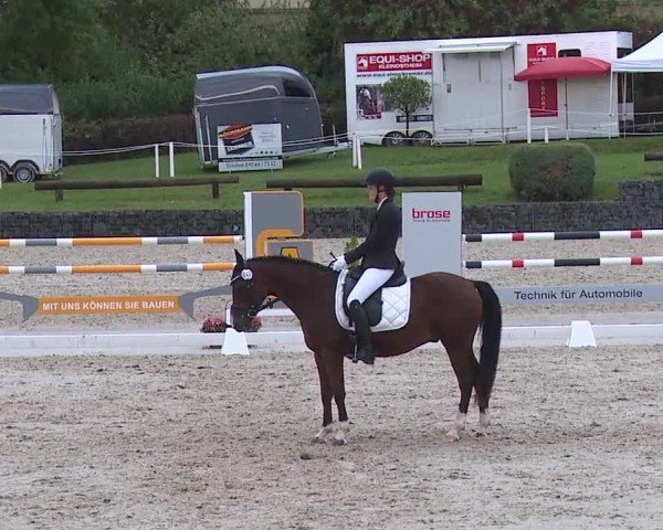 Reitturnier Frankenhof-Sonnefeld/Ofr. 2024