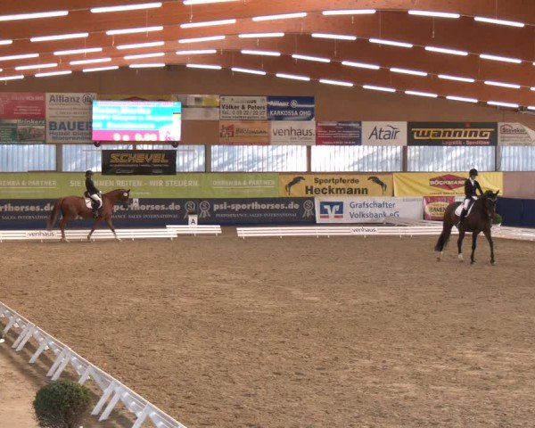 Reitturnier Isterberg 2024