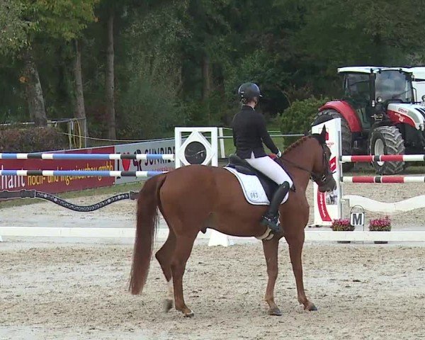 Reitturnier Frankenhof-Sonnefeld/Ofr. 2024