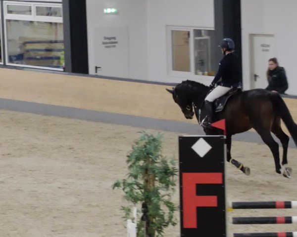 Reitturnier Borken 2024