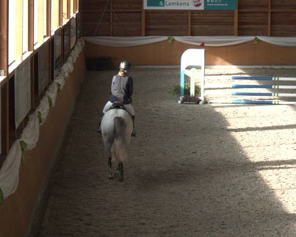 Reitturnier Xanten - Reitanlage Miss 2024