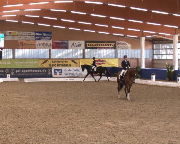 Reitturnier Isterberg 2024