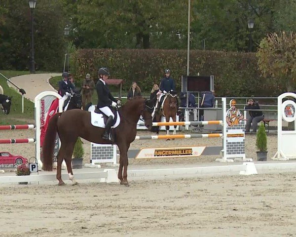 Reitturnier Frankenhof-Sonnefeld/Ofr. 2024