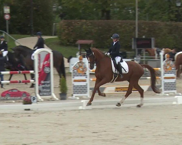 Reitturnier Frankenhof-Sonnefeld/Ofr. 2024