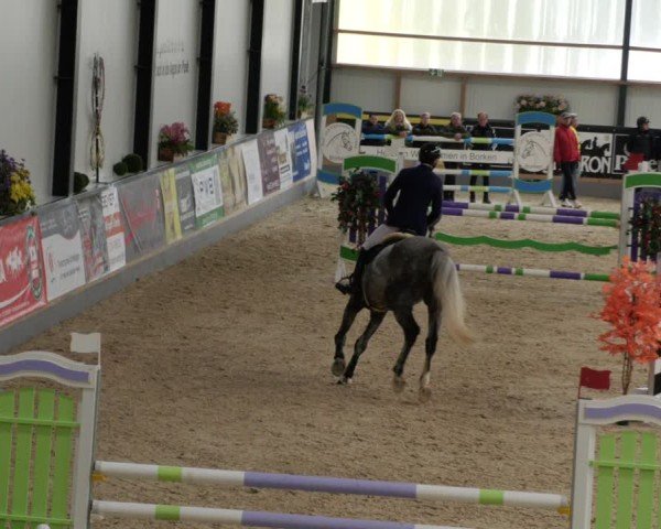 Reitturnier Borken 2024