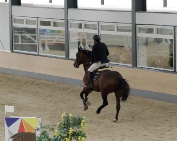 Reitturnier Borken 2024