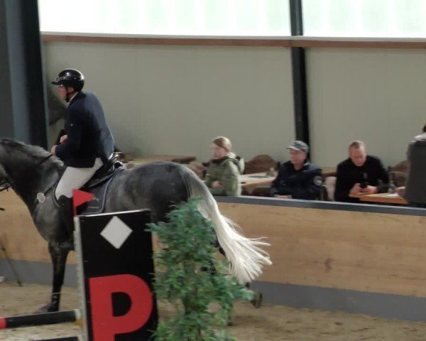 Reitturnier Borken 2024