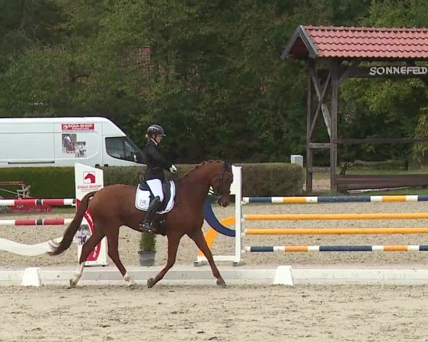 Reitturnier Frankenhof-Sonnefeld/Ofr. 2024