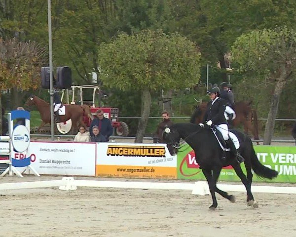 Reitturnier Frankenhof-Sonnefeld/Ofr. 2024
