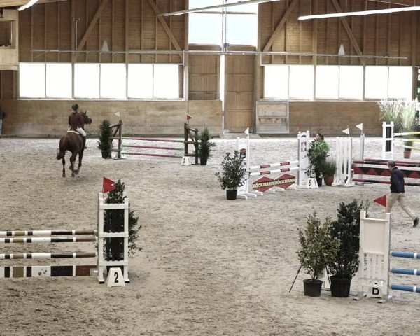 Reitturnier Rüti 2021