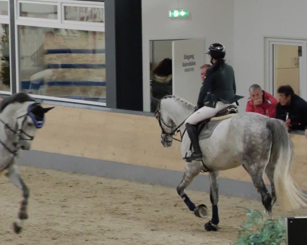 Reitturnier Borken 2024