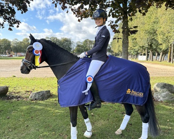 broodmare Petit Nirvana (German Riding Pony, 2019, from Petit Rock the Moment)