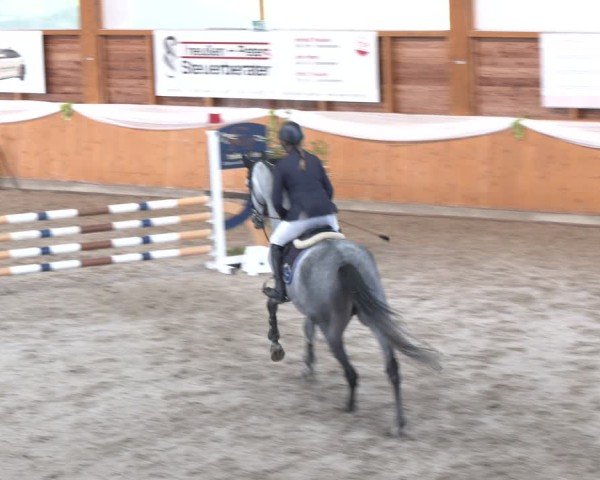 Reitturnier Xanten - Reitanlage Miss 2024