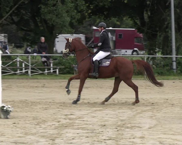 Reitturnier Kamen 2024