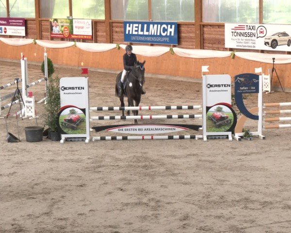 Reitturnier Xanten - Reitanlage Miss 2024
