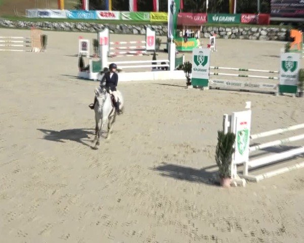 Reitturnier Preding 2024