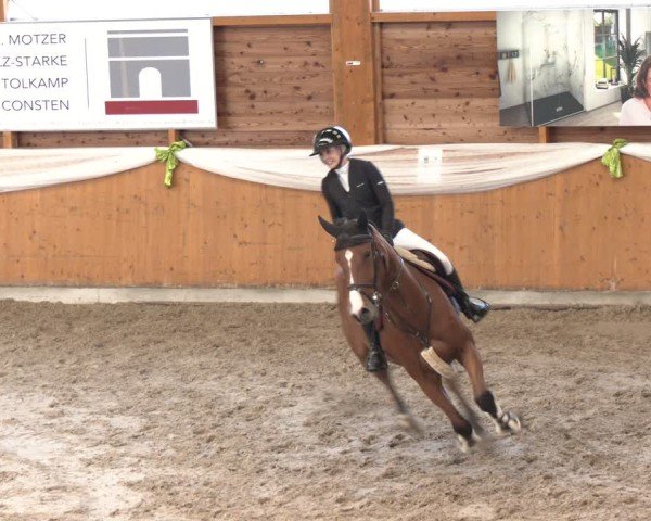Reitturnier Xanten - Reitanlage Miss 2024