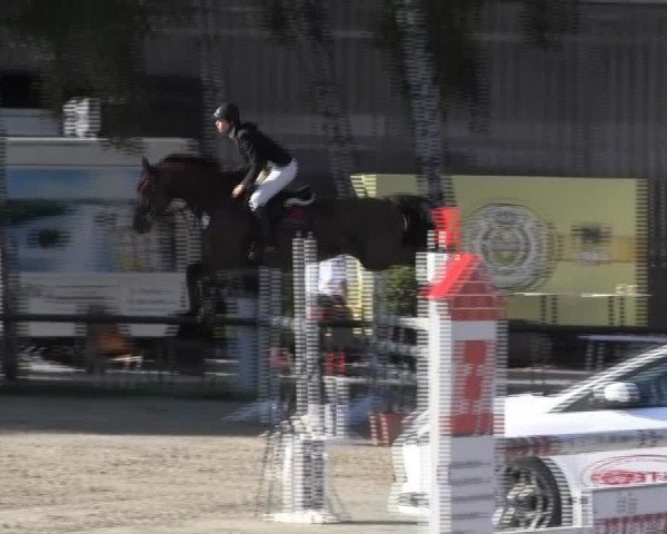 Reitturnier Herbern 2013
