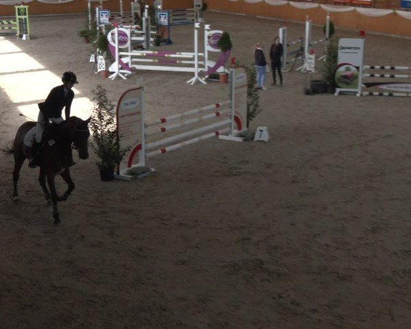 Reitturnier Xanten - Reitanlage Miss 2024