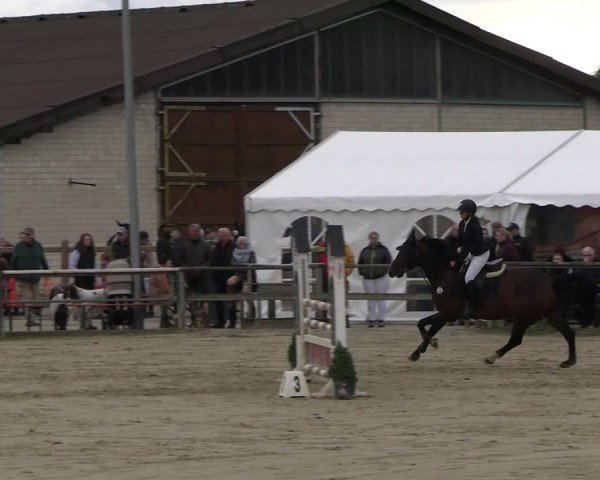 Reitturnier Kamen 2024