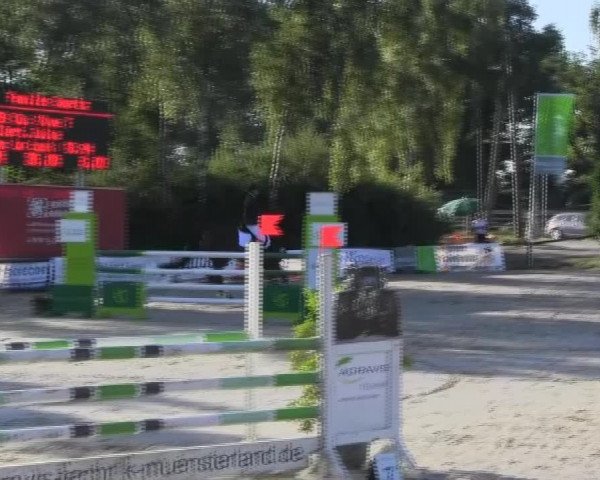 Reitturnier Herbern 2013