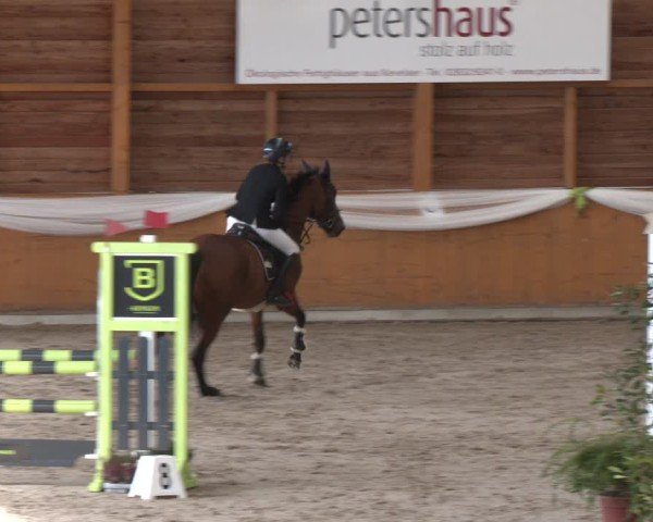 Reitturnier Xanten - Reitanlage Miss 2024