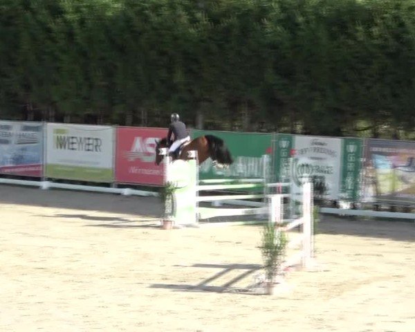 Reitturnier Preding 2024
