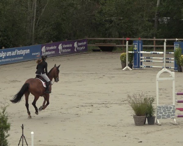 Reitturnier Scharnebeck 2024