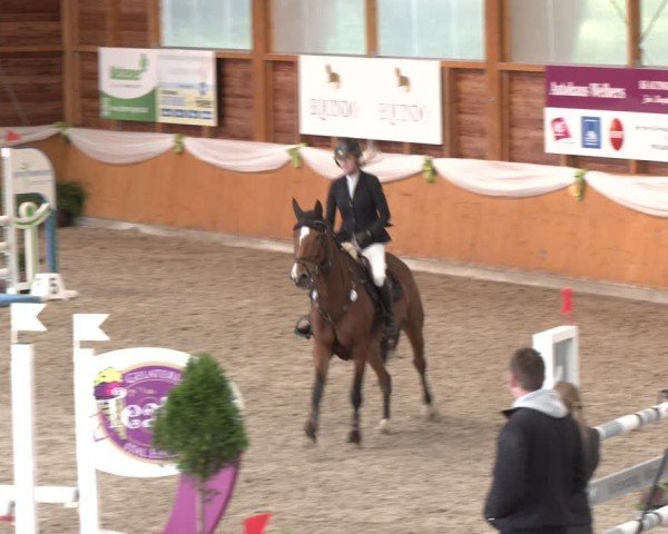 Reitturnier Xanten - Reitanlage Miss 2024