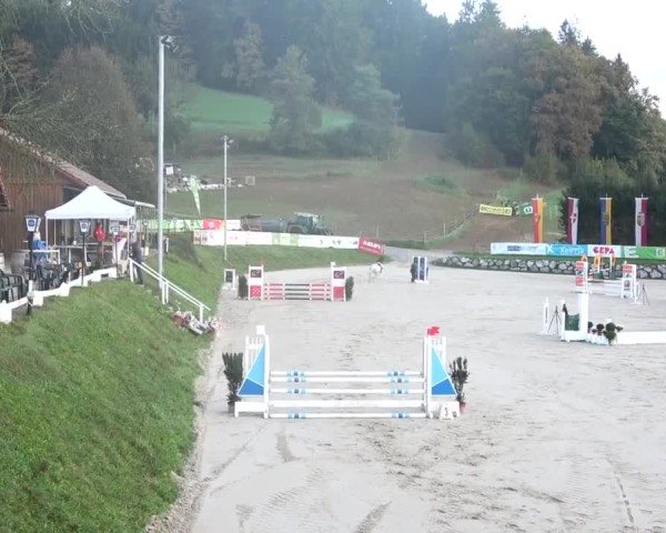 Reitturnier Preding 2024