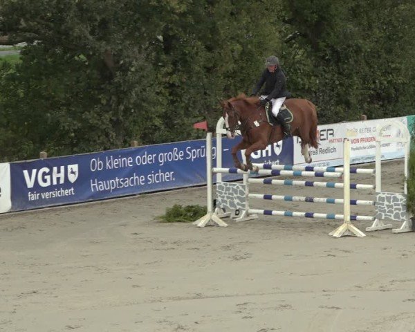 Reitturnier Scharnebeck 2024