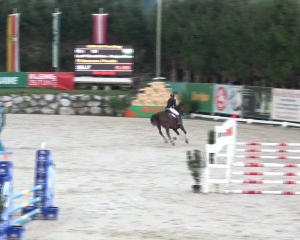 Reitturnier Preding 2024