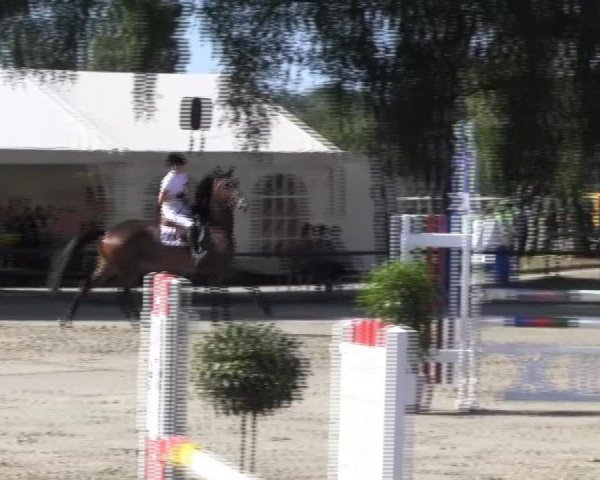 Reitturnier Herbern 2013