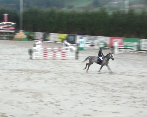 Reitturnier Preding 2024