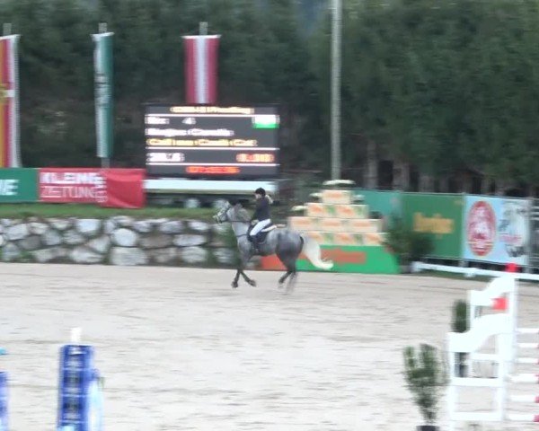 Reitturnier Preding 2024