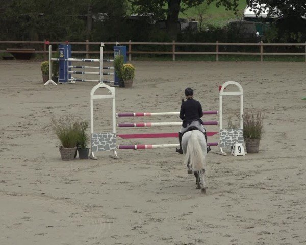 Reitturnier Scharnebeck 2024