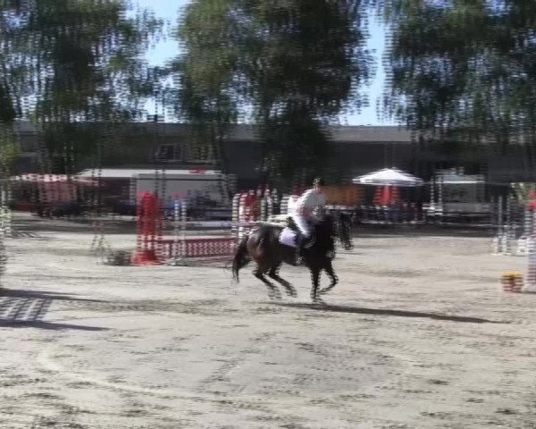 Großes Reit- und Springturnier 2013 des RuF