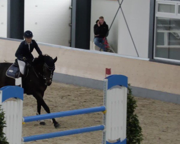 Reitturnier Borken 2024