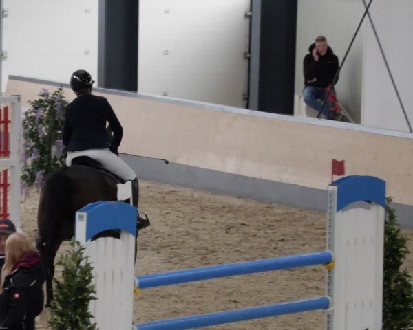 Reitturnier Borken 2024