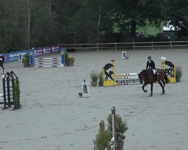 Reitturnier Scharnebeck 2024