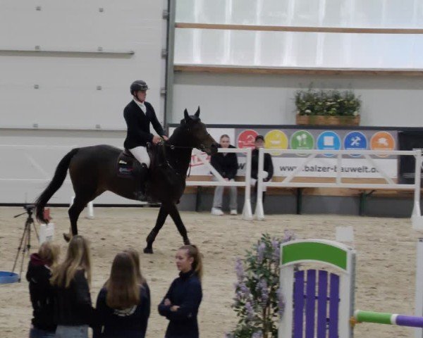 Reitturnier Borken 2024