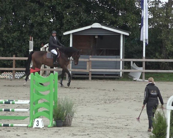 Reitturnier Scharnebeck 2024