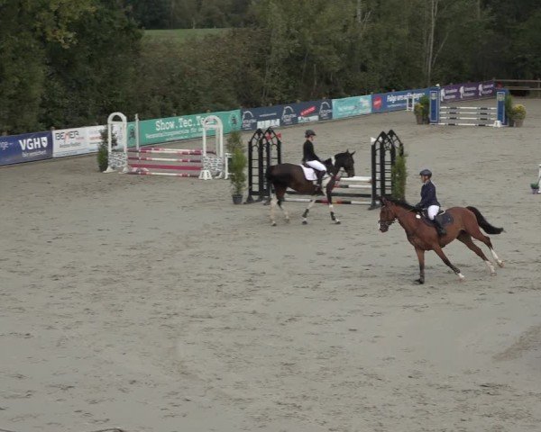 Reitturnier Scharnebeck 2024
