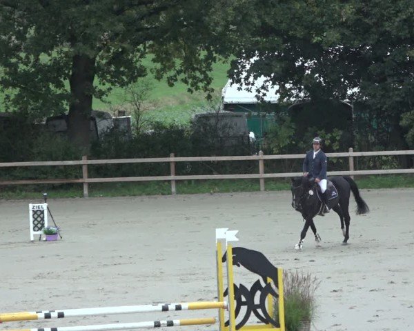 Reitturnier Scharnebeck 2024
