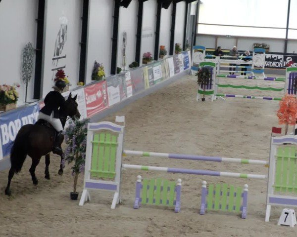 Reitturnier Borken 2024